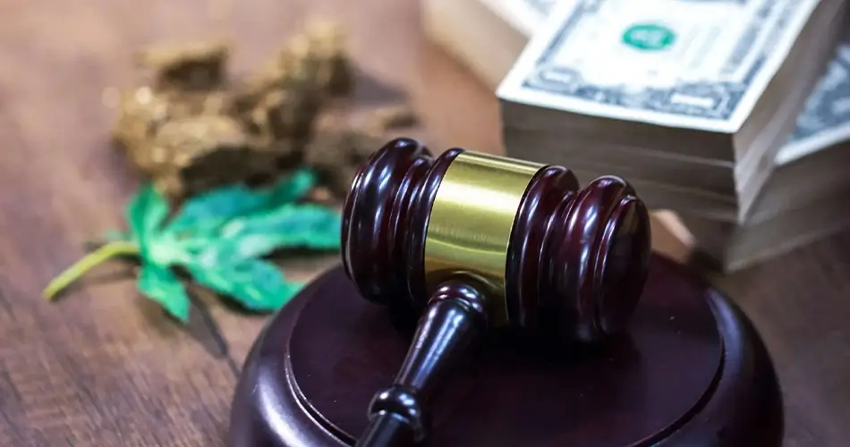 Santa Rosa Drug Possession Lawyer-image
