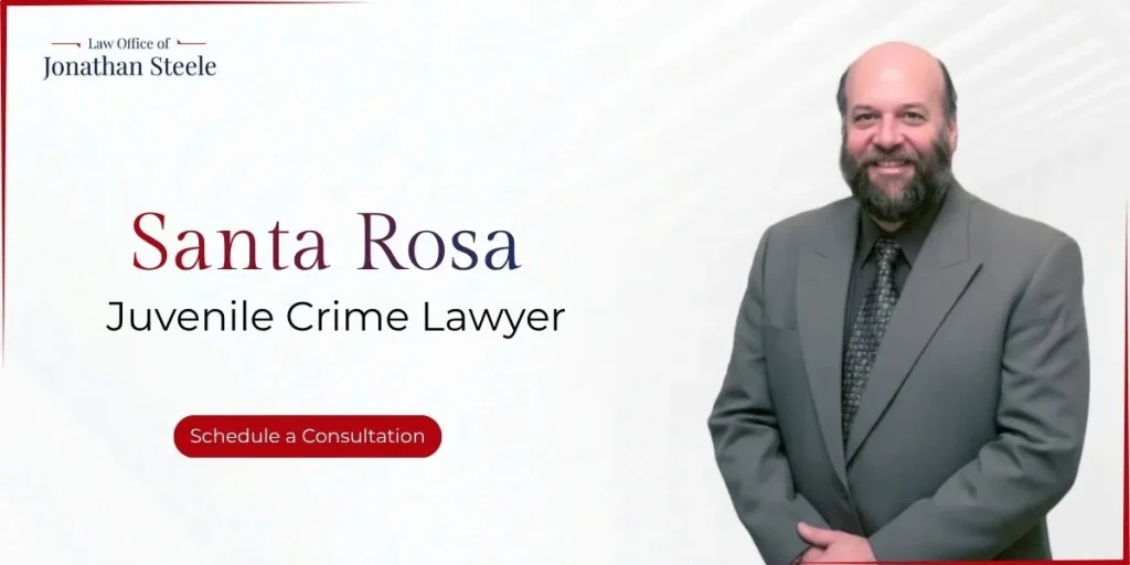 best santa rosa juvenile crime lawyer
