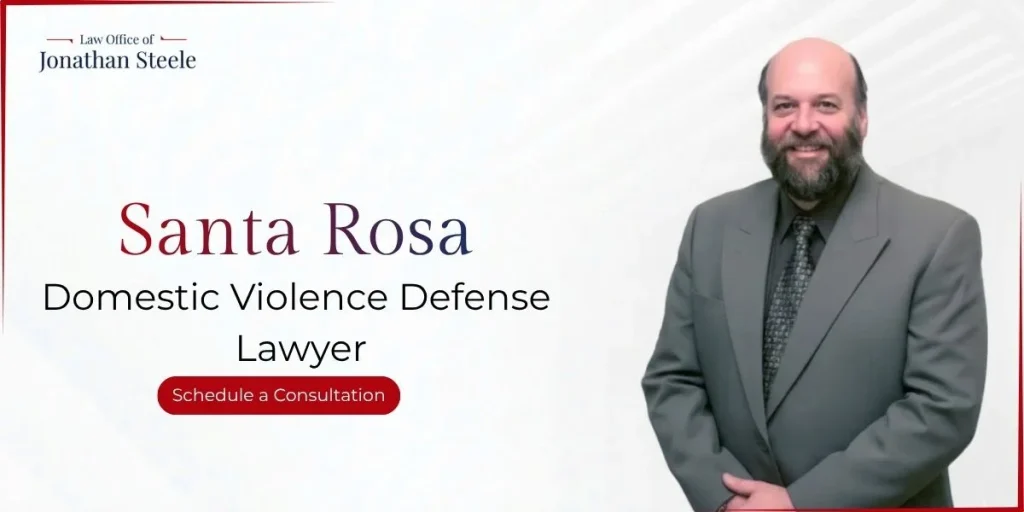 best santa rosa domestic violence defense lawyer